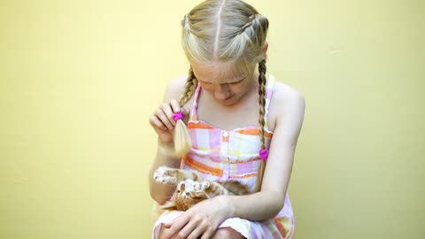 Little girl playing with a kitten on her lap