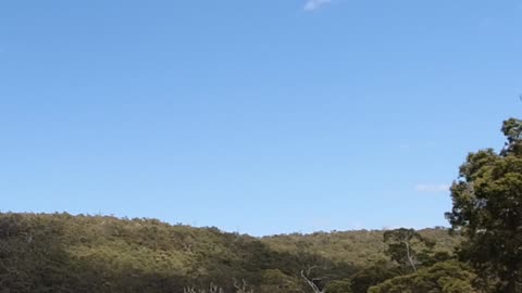 Churchman brook dam