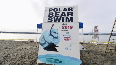 BBRRRR...Polar Swimming Contest !