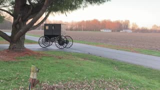 Self Powered Amish Buggy