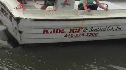 Speed Boat Docking Practice Run