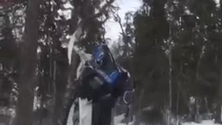 Blue snow mobile tree fall