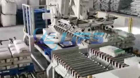 Double line palletizing robot system for bags #foryou#palletizer#robot#pack