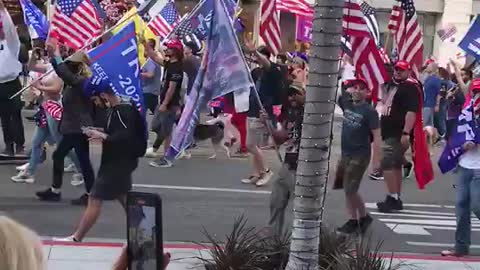 Beverly Hills California. Red Wave