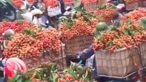 Vietnamese fruit trees