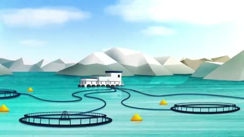 different methods of aquaculture come with different advantages