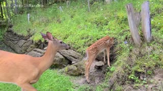 Caring mama stops by with her adorable twins