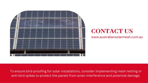 Bird-Proofing Solar Panels in Sydney: Your Ultimate Solution for Avian Deterrence