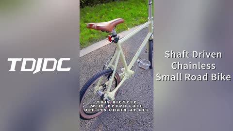 Young small mountain bike without chain