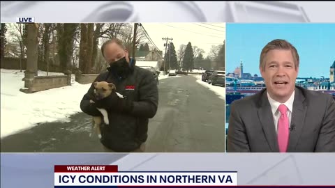 "Pawsome Interruption: Adorable Puppy Steals the Spotlight in FOX 5 DC Weather Report!"