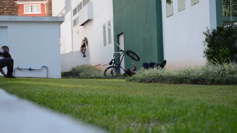 Wall Ride Fail