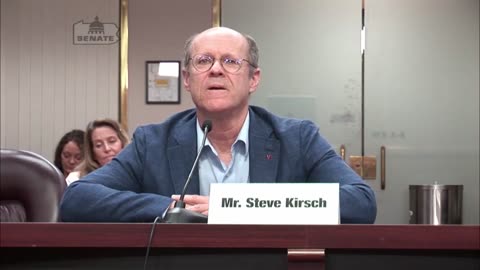 Steve Kirsch - THERE IS NO SAFE AND EFFECTIVE VACCINE