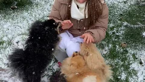 woman playing with the dogs during snow fall