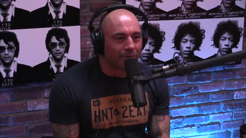 Joe Rogan Experience #742 - Aubrey Marcus.mp4