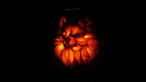 Veterinarian Creates A Realistic Dog-O-Lantern Pumpkin Carving