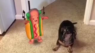 Music weiner dog sits while hotdog snapchat emoji dances next to him