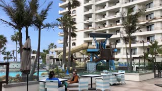 Tropical Wind in the Palm Trees Poolside at the Hilton Waterfront Beach Resort, Huntington Beach