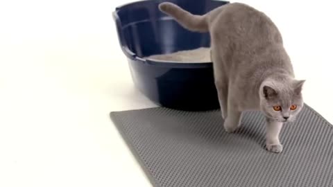Double-Layer Cat Litter Mat