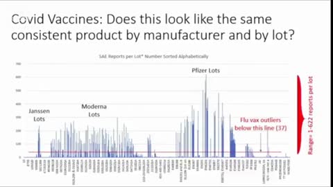 Evidence: Former Pfizer CSO, Dr Mike Yeadon, reviews Team Enigma Flu - Covid jab vials comparison