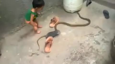 child playing with snake my god