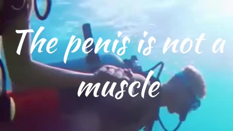Penis Facts 8#shorts