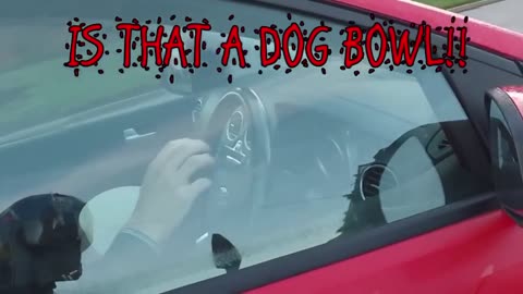 Driving while eating cereal from dog bowl