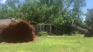 Intense Storm Blows Trees into Houses in South Carolina