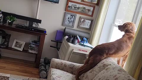 Winston Watches TV - Gran Torino