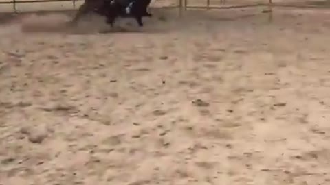 Vibes girl falls off horse running fast