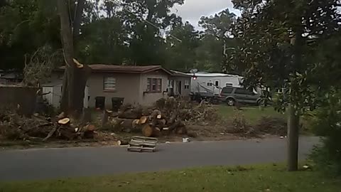 Leaning tree finally comes down.