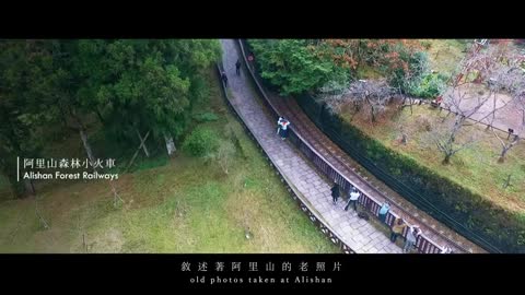 Taiwanese scenery-Alishan magic 24 hours