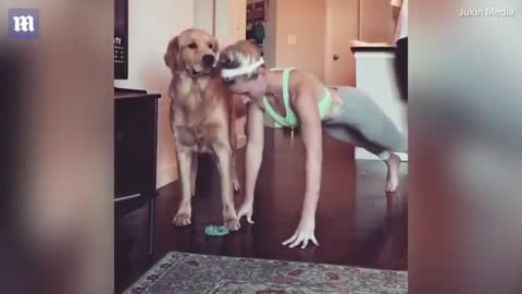 Playful dog makas push ups pus up girl