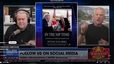 Steve Bannon and Peter Navarro: Trump Needs to Call Press Conference and Run the GA Tapes!