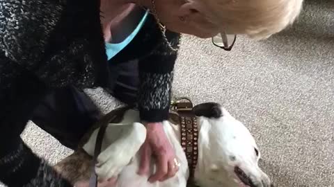 Rescue dog shares loving moment with grandma