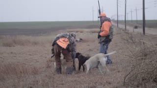 Kansas Old School Upland