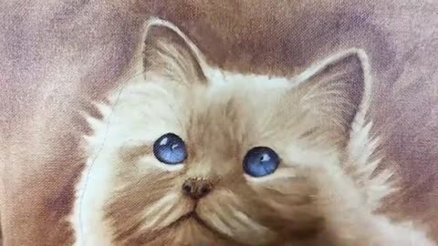 Painting for Beginners- How to Paint a Siberian Cat