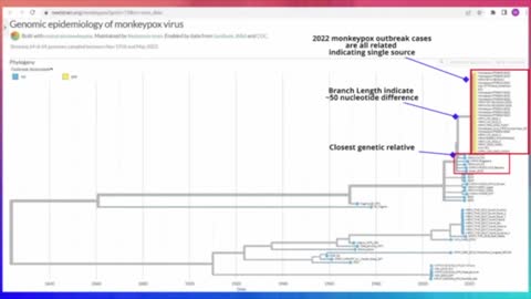 New Monkeypox Outbreak Has More Mutations "Than Would be Expected From Natural Mutagenesis".