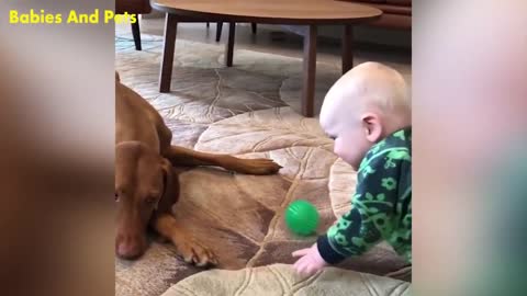 Funny Baby And Vizsla Dogs Playing Together Cute Baby Video in house