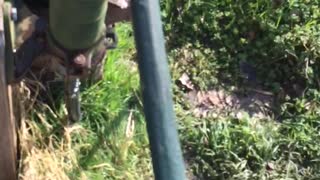 Taking water from a well #oldwell