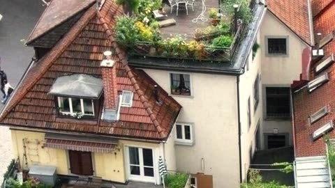 Home Design - Rooftop Paradise- Nature-Inspired Rooftop Design. Harmonizing Urban Spaces with the Outdoors