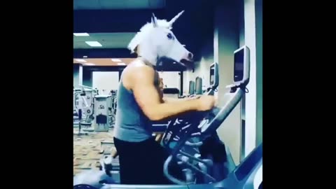 "Horse Face Mask Cycling and More: Funniest Compilation!"