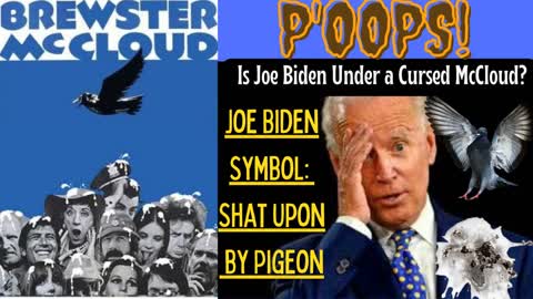 Uncle Joe Receives Scatomancy Curse by Pigeon Guano Hit