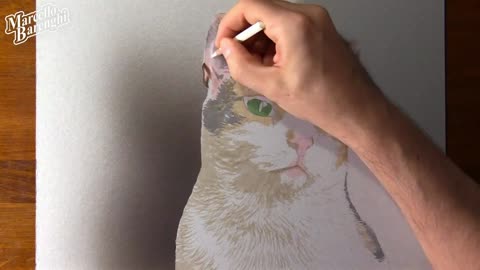 Use Colored Lead To Draw The Kitten's Ears