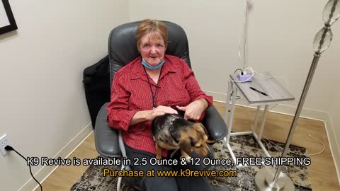 Dog Skin Allergies Gone in 5 Days, K9 Revive Dog Supplement