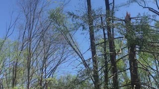 Tornado Destroys Home Woman Wakes Unharmed