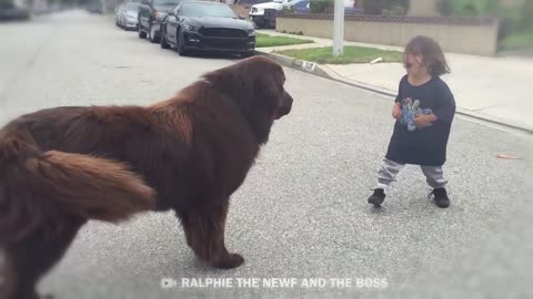 This Is Why Your Kids Need a Dog