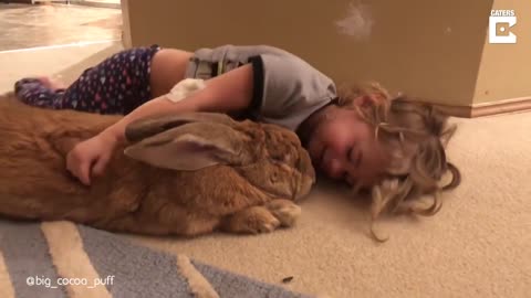 3-Year-Old Girl and Giant Rabbit Get Into Trouble Together