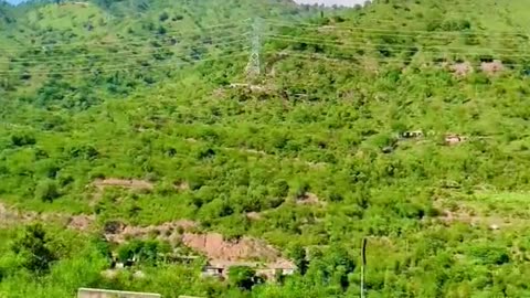 Green hill in kashmir near dhalkot