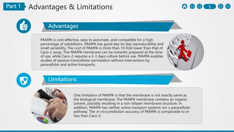 Parallel Artificial Membrane Permeability Assay