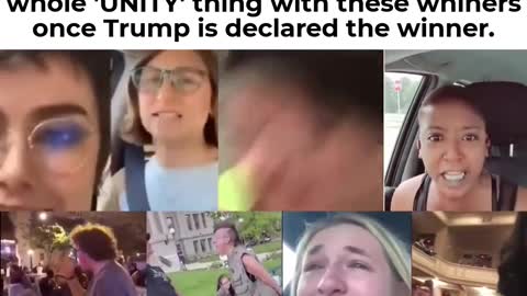 Politics - 2020 Liberal Crying Freaks Funny